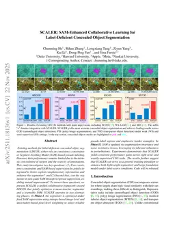 SCALER: SAM-Enhanced Collaborative Learning for Label-Deficient Concealed Object Segmentation