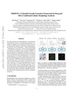 TRIDENT: A Trimodal Cascade Generative Framework for Drug and RNA-Conditioned Cellular Morphology Synthesis