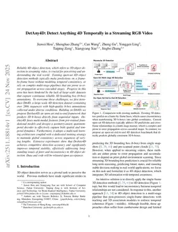 DetAny4D: Detect Anything 4D Temporally in a Streaming RGB Video