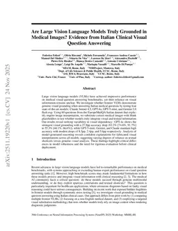 Are Large Vision Language Models Truly Grounded in Medical Images? Evidence from Italian Clinical Visual Question Answering