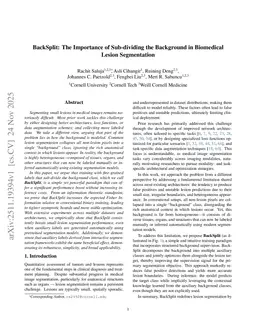 BackSplit: The Importance of Sub-dividing the Background in Biomedical Lesion Segmentation