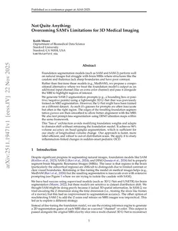 Not Quite Anything: Overcoming SAMs Limitations for 3D Medical Imaging