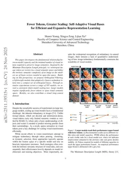 Fewer Tokens, Greater Scaling: Self-Adaptive Visual Bases for Efficient and Expansive Representation Learning