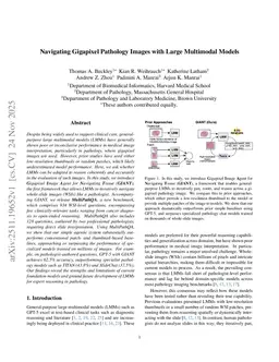 Navigating Gigapixel Pathology Images with Large Multimodal Models