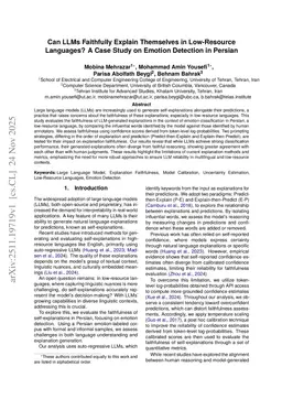 Can LLMs Faithfully Explain Themselves in Low-Resource Languages? A Case Study on Emotion Detection in Persian