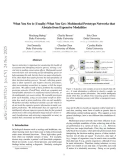 What You See is (Usually) What You Get: Multimodal Prototype Networks that Abstain from Expensive Modalities