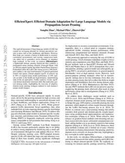 EfficientXpert: Efficient Domain Adaptation for Large Language Models via Propagation-Aware Pruning