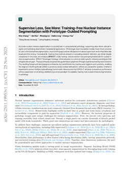 Supervise Less, See More: Training-free Nuclear Instance Segmentation with Prototype-Guided Prompting