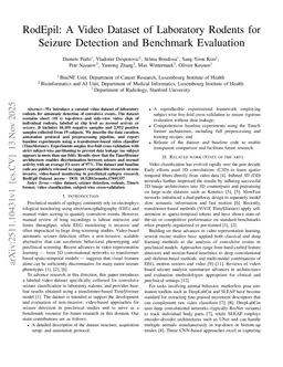 RodEpil: A Video Dataset of Laboratory Rodents for Seizure Detection and Benchmark Evaluation