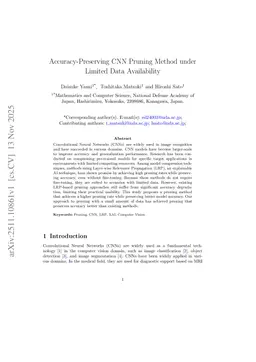 Dynamic LRP-Based Pruning for CNNs in Data-Scarce Transfer Learning: Suppressing Cascading Accuracy Degradation