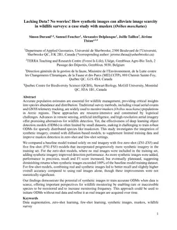 Lacking Data? No worries! How synthetic images can alleviate image scarcity in wildlife surveys: a case study with muskox (Ovibos moschatus)