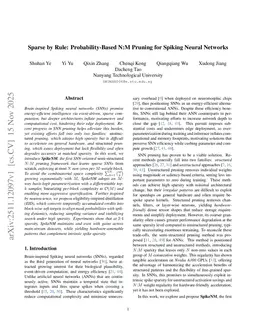 Sparse by Rule: Probability-Based N:M Pruning for Spiking Neural Networks