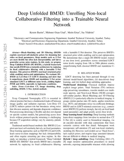 Deep Unfolded BM3D: Unrolling Non-local Collaborative Filtering into a Trainable Neural Network
