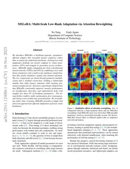 MSLoRA: Multi-Scale Low-Rank Adaptation via Attention Reweighting