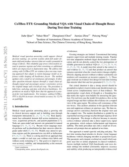 CoTBox-TTT: Grounding Medical VQA with Visual Chain-of-Thought Boxes During Test-time Training