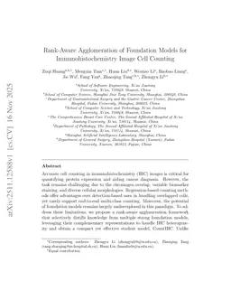 Rank-Aware Agglomeration of Foundation Models for Immunohistochemistry Image Cell Counting