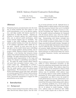 SAGE: Saliency-Guided Contrastive Embeddings