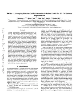 FGNet: Leveraging Feature-Guided Attention to Refine SAM2 for 3D EM Neuron Segmentation