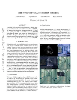 Fully Automatic Data Labeling for Ultrasound Screen Detection