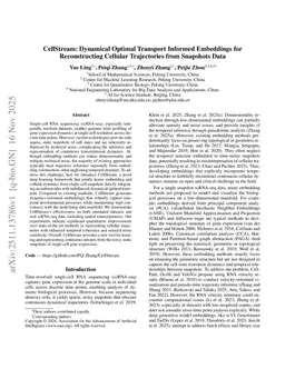 CellStream: Dynamical Optimal Transport Informed Embeddings for Reconstructing Cellular Trajectories from Snapshots Data