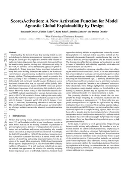 ScoresActivation: A New Activation Function for Model Agnostic Global Explainability by Design