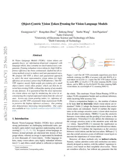 Object-Centric Vision Token Pruning for Vision Language Models