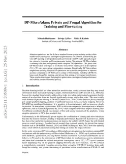 DP-MicroAdam: Private and Frugal Algorithm for Training and Fine-tuning
