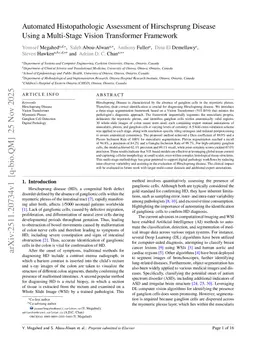 Automated Histopathologic Assessment of Hirschsprung Disease Using a Multi-Stage Vision Transformer Framework