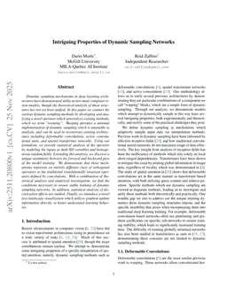 Intriguing Properties of Dynamic Sampling Networks