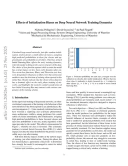 Effects of Initialization Biases on Deep Neural Network Training Dynamics