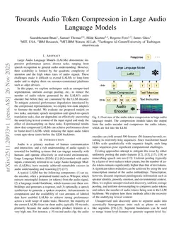 Towards Audio Token Compression in Large Audio Language Models