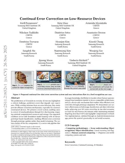 Continual Error Correction on Low-Resource Devices