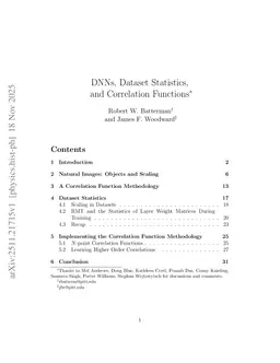 DNNs, Dataset Statistics, and Correlation Functions