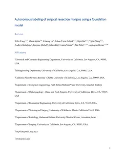 Autonomous labeling of surgical resection margins using a foundation model
