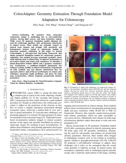 ColonAdapter: Geometry Estimation Through Foundation Model Adaptation for Colonoscopy