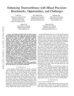 Enhancing Trustworthiness with Mixed Precision: Benchmarks, Opportunities, and Challenges