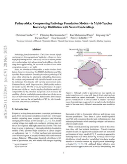 Pathryoshka: Compressing Pathology Foundation Models via Multi-Teacher Knowledge Distillation with Nested Embeddings