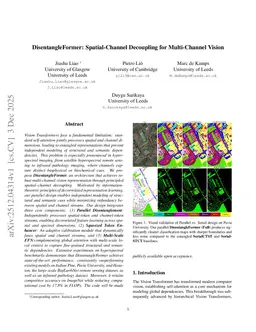 DisentangleFormer: Spatial-Channel Decoupling for Multi-Channel Vision