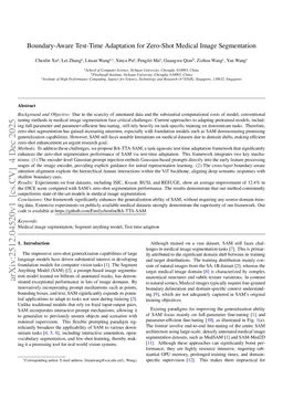 Boundary-Aware Test-Time Adaptation for Zero-Shot Medical Image Segmentation