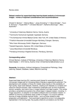 Dataset creation for supervised deep learning-based analysis of microscopic images - review of important considerations and recommendations