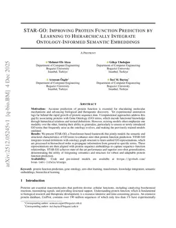 STAR-GO: Improving Protein Function Prediction by Learning to Hierarchically Integrate Ontology-Informed Semantic Embeddings