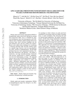 LPD: Learnable Prototypes with Diversity Regularization for Weakly Supervised Histopathology Segmentation
