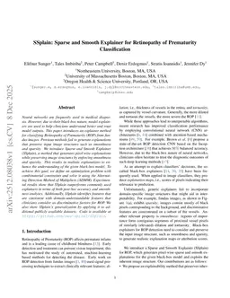 SSplain: Sparse and Smooth Explainer for Retinopathy of Prematurity Classification