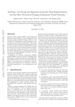 LiePrune: Lie Group and Quantum Geometric Dual Representation for One-Shot Structured Pruning of Quantum Neural Networks