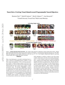 NeuroVolve: Evolving Visual Stimuli toward Programmable Neural Objectives