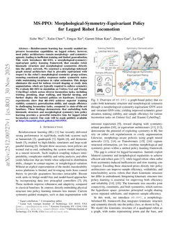 MS-PPO: Morphological-Symmetry-Equivariant Policy for Legged Robot Locomotion