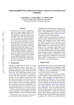 Enhancing BERT Fine-Tuning for Sentiment Analysis in Lower-Resourced Languages
