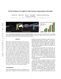ELVIS: Enhance Low-Light for Video Instance Segmentation in the Dark