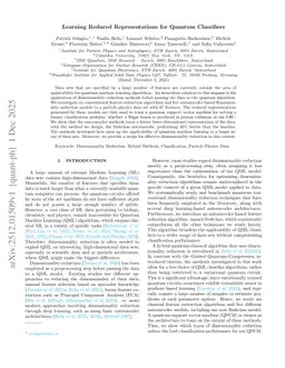 Learning Reduced Representations for Quantum Classifiers