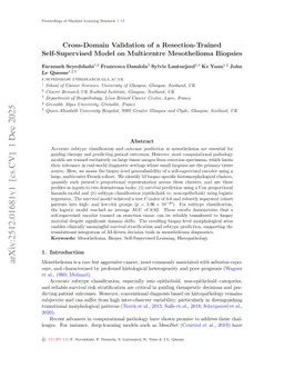Cross-Domain Validation of a Resection-Trained Self-Supervised Model on Multicentre Mesothelioma Biopsies